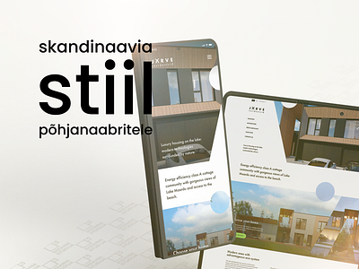 fresh breeze of scandinavia style 🏂 branding estonia logo design scandinavian webdesign