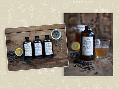 Kombucha Label Design apothecary bottle design branding drinks glass bottles kombucha label moon mystical packaging potion product design vintage label design witchy