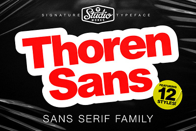 Thoren Sans Sans Serif Type Family black bold classic gothic headline italics light logo minimal modern opentype otf poster posters sans serif font simple strong typeface