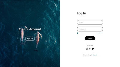 Log In figma illustrator ui ux web design wix