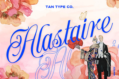 TAN - ALASTAIRE classy font dispaly font display typeface fashion font romantic font romanticism romantics script script font script fonts modern tan alastaire