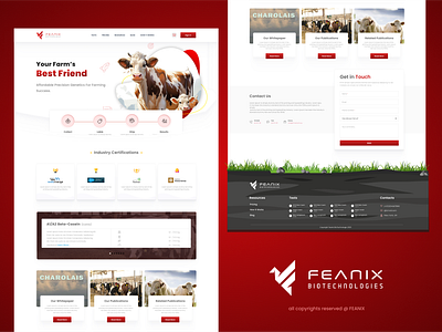 Cattle Cow Tests Website agriculture animal test website cattle farm cattle tests website ui cattle website ui composting dairy farm design agency element markets energy environmental healthy product illustration landing page landscape revolution sustainability nature ui ux website design