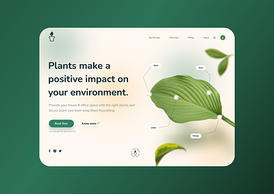 Plant Project 🌱 design figma ui ux