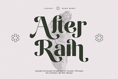 After Rain - Luxury Sans Font branding elegant font fonts luxury modern sans serif font