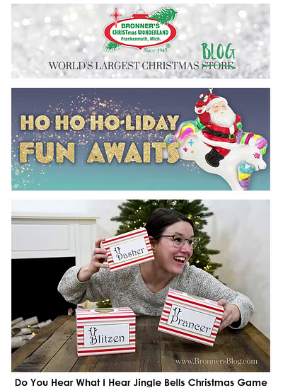 Christmas Promotional Blog Email for Bronner's branding email marketing graphic design layout design marketing photoshop ui web design