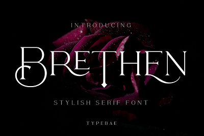 Brethen - Stylish Serif Font classic font display font elegant font ligature font logo font luxury font magazine font serif font stylistic alternates