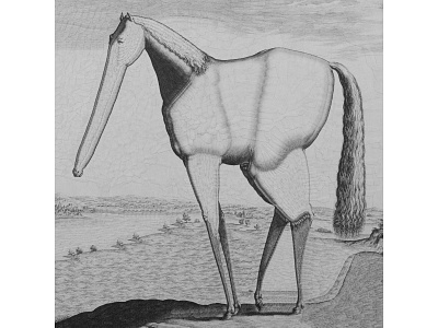 After Stradanus collage gallery ergo horse horses illustration paper
