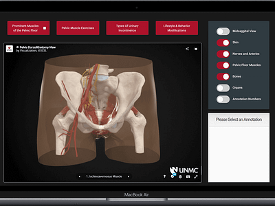 UNMC College of Nursing Pelvic Floor Patient-facing application healthcare ui ux