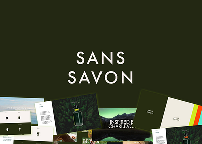 Sans Savon: Storefront UX and Branding branding figma illustration product design sans savon uiux