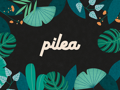Pilea - Greenhouse branding design digital illustration graphic design icon illustration logo vector