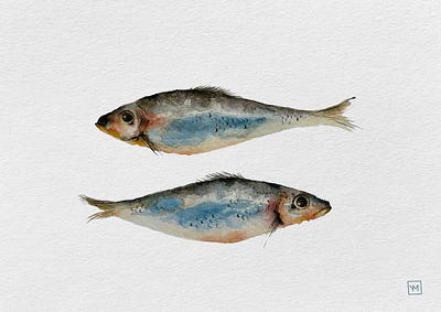Fish art design fish illustration watercolor
