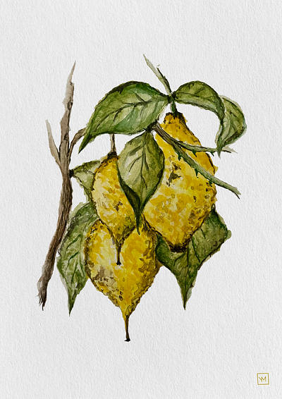 Lemons art design illustration lemon watercolor