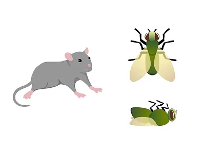 Prey of the carnivorous plants carnivorous plant dead insect fly graphic design illustration insect mice mouse plant prey vector youtube