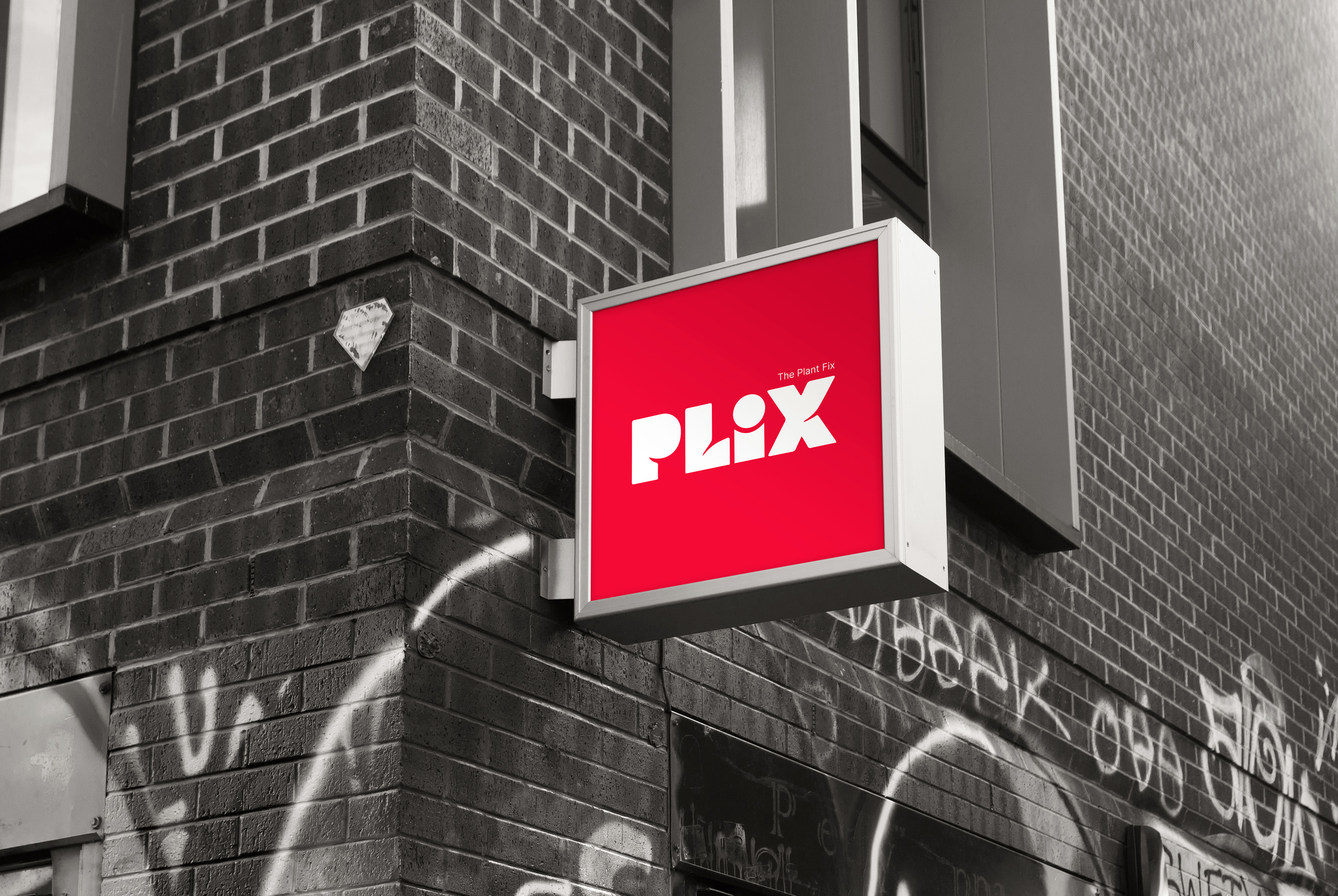 Plix Beauty care animation art beauty brand designer branding character design design graphic design graphics illustration logo logo animation mockup modern motion graphics product
