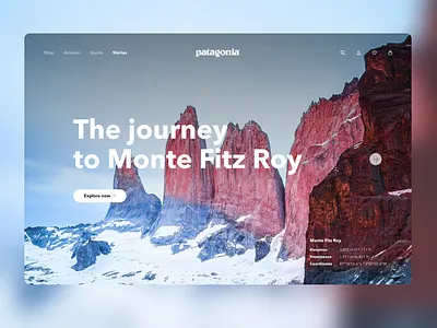 patagonia branding landing page ui web design