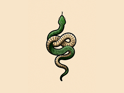 Snake adobe adobe illustrator animal creative design graphic design illustration reptile snake vector wacom