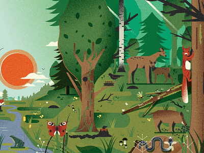 Forest cycles - part of (AM '22) animals character design editorial grain graphic design illustration