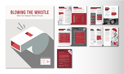 The Amlong Firm White Paper graphic design infographics whitepaper