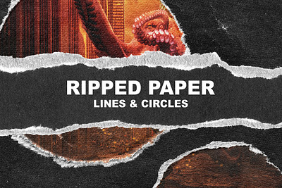 RIPPED PAPER LINES & CIRCLES ripped edges ripped paper ripped paper lines circles ripped paper texture texture design torn edges torn paper torn paper edge