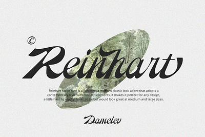 Reinhart Script calligraphy calligraphy font calligraphy procreate calligraphy script display display font display product display type font font display font typeface fonts handwriting modern font modern script modern script font reinhart script script script font script fonts modern script logo