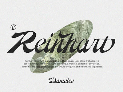 Reinhart Script calligraphy calligraphy font calligraphy procreate calligraphy script display display font display product display type font display font typeface fonts handwriting modern font modern script modern script font reinhart script script script fonts modern script logo