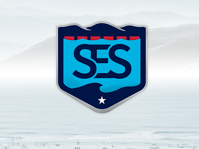 Southeastern Swimming LSC Secondary identity illustration logo olympics sports swim club swimming youth sports