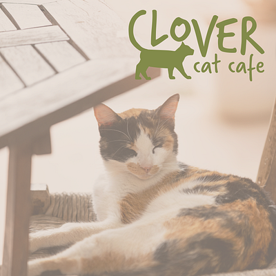 Clover Cat Cafe branding design graphic design logo logo design