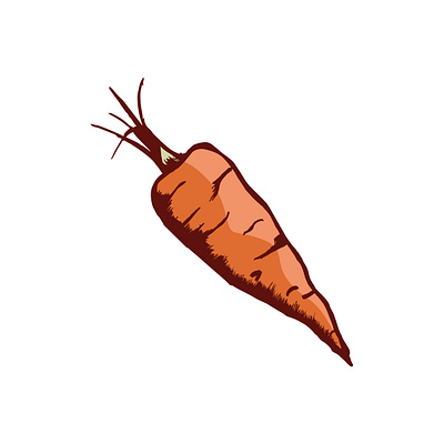 Carrot Illustrator animation crisp crunchy culinary delicious design drawing fresh garden harvest healthy illustration juicy orange organic sweet vector vegetarian vibrant wholesome