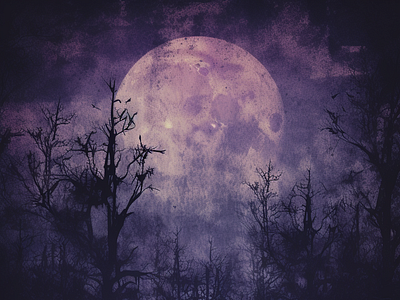 Lunar Enchantment dark dark illustration design goth ia moon purple