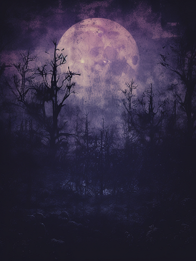Lunar Enchantment dark dark illustration design goth ia moon purple