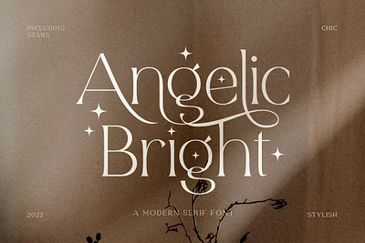 Angelic Bright - Modern Serif Font bold fonts elegant fonts fancy fonts modern fonts serif fonts wedding wedding fonts