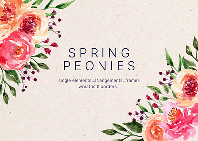 Spring Peonies Watercolor Design Elements branding flowers frame graphicpear peonies png download spring watercolor watercolor element
