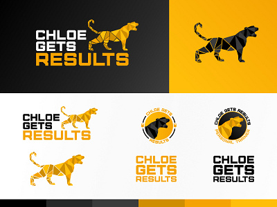 Chloe Gets Results - Personal Trainer Logo System branding cheetah fitness graphic design logo personal trainer