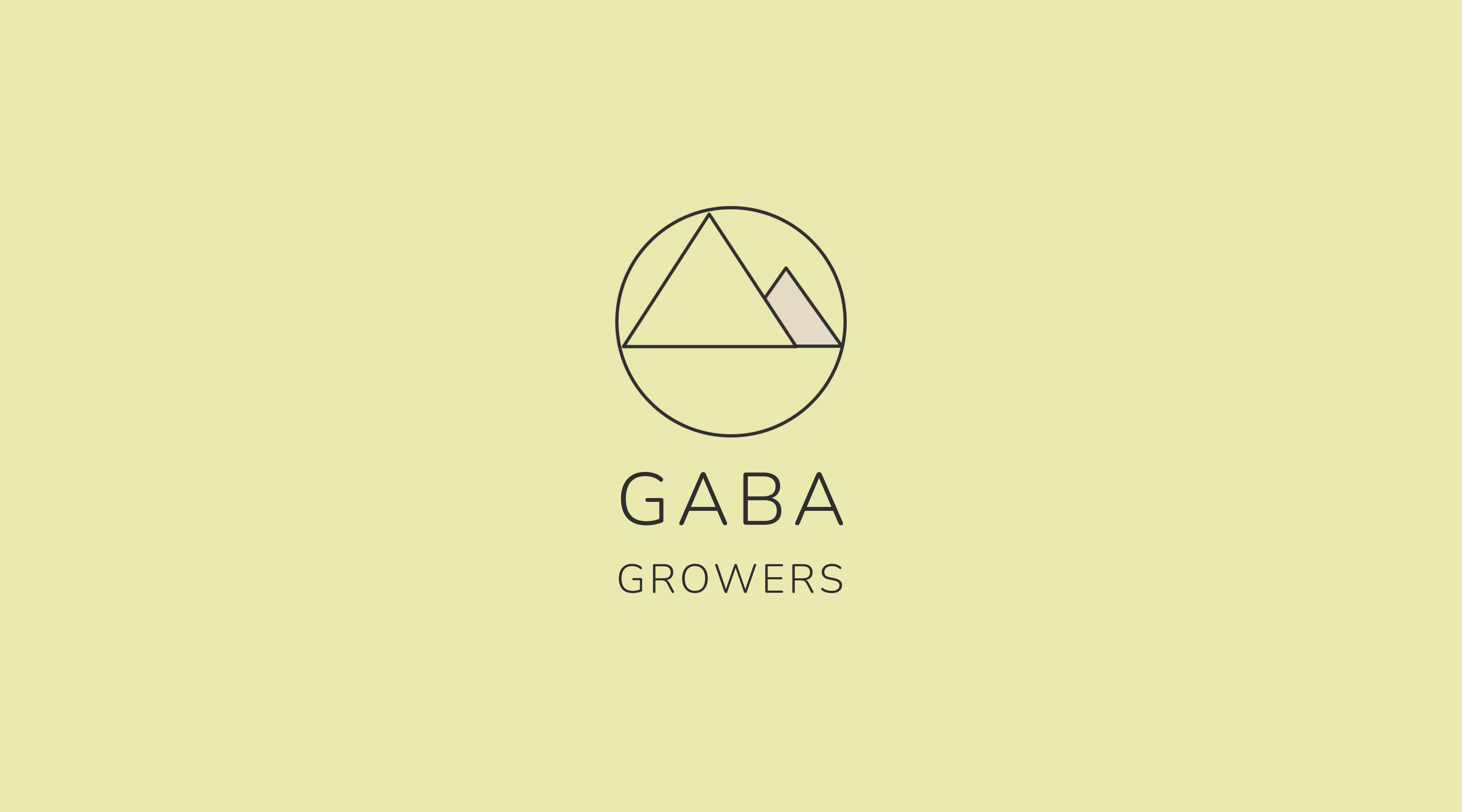 Gaba tea