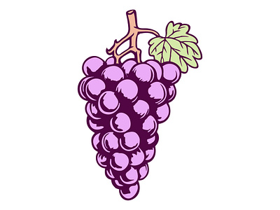 Grape Illustration agriculture bunch design drawing fresh fruit grape green harvest healthy illustration juicy purple seedless skin sweet tasty vector vine wine