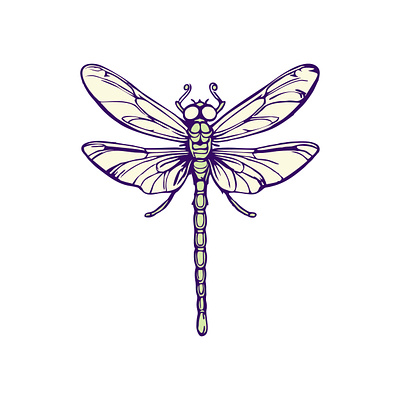 Dragonfly Illustration agile aquatic beautiful delicate design dragonfly drawing ecology entomology eyes flight graceful hovering illustration insect nature transparent vector vibrant wings