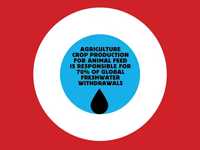 Global freshwater withdrawals design graphic design illustration