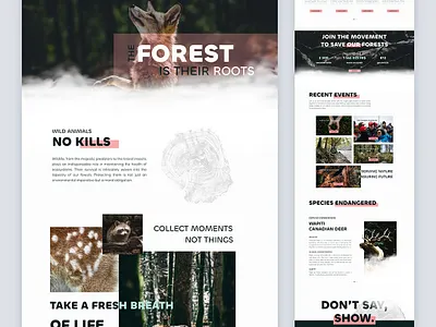 Wild Roots - Protect The Forests animal clean design environment forest hunt life minimal modern nature planet poaching save our planet ui uidesign webdesign website wild