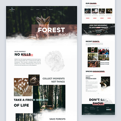 Wild Roots - Protect The Forests animal clean design environment forest hunt life minimal modern nature planet poaching save our planet ui uidesign webdesign website wild