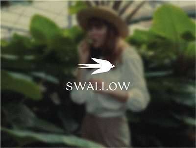 Swallow logo branding bw design geometric graphic design illustration logo minimal style swallow trend typography vector
