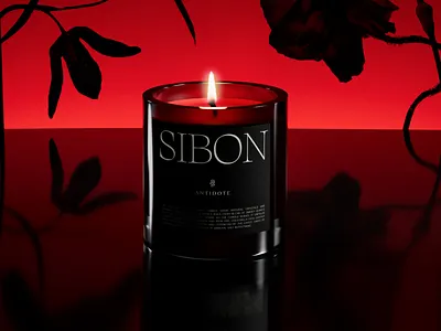 Antidote branding design graphic design illustration logo typography vector