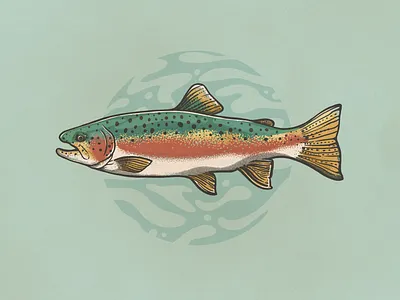 Rainbow Trout Illustration blue brush digital art digital drawing drawing fish fluid green illustration lake line drawing outline procreate rainbow retro rust texture trout vintage water