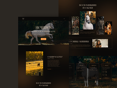 Horse riding landing page design horsee horses landing landingpage landing ui ux