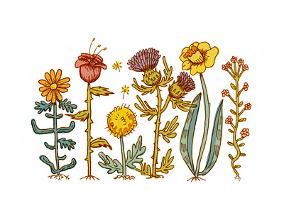 flower patch flowers illustration