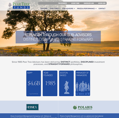 Pear Tree Funds Website graphic design website design