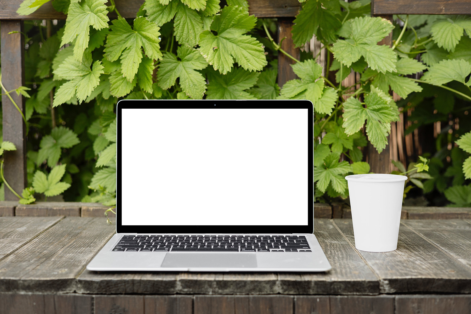 Laptop and Cup Mockup branding design free mockup graphic design laptop mockup mockup mockups mu