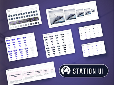 Station UI component library design system digital design system elixir elixir design system figma community figma design system liveview native liveview native ui product design station ui ui library