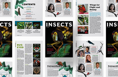 Publication Design | INSECTS Magazine graphic design layout publication design