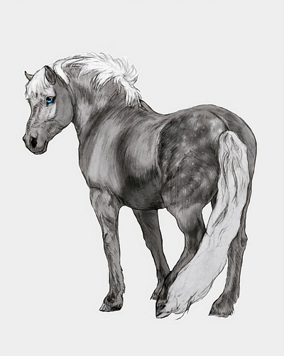 Dapple Gray Horse dapple gray gray horse illustration pony