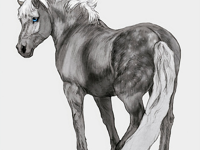 Dapple Gray Horse dapple gray gray horse illustration pony